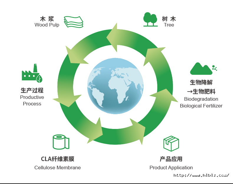 1691379287551779j5TY.png 1691379287551779j5TY.png